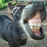 Robert Mcfarland's avatar