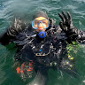Coleen Lyons's avatar