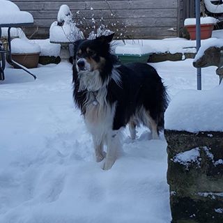 Carron Casey's avatar