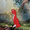 Ibtihal Khawar's avatar
