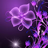 Lisa-Marie Barnes's avatar