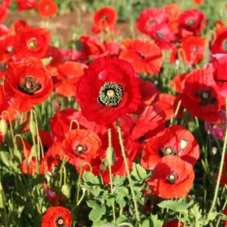 Gavin Moorcroft's avatar