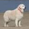 Ben Hughes's avatar