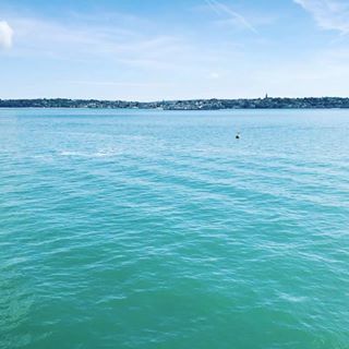 David Michaelson's avatar