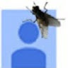 Pablo Moralez's avatar