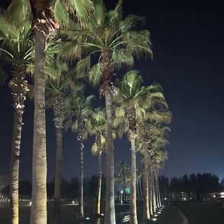 Barrie Collins's avatar