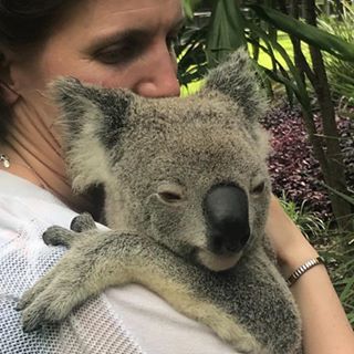 Marianne Longhurst's avatar