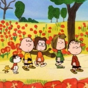 Dan Middleton's avatar