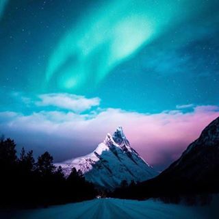 Holly-Anne Davies's avatar