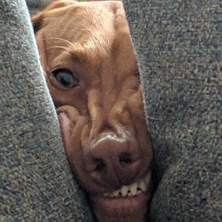 Michael Yates's avatar