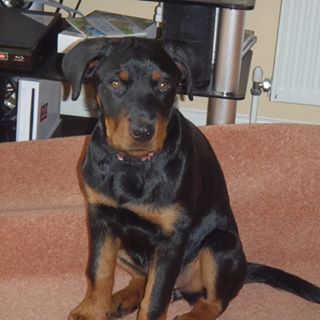 Lizzie Cook's avatar