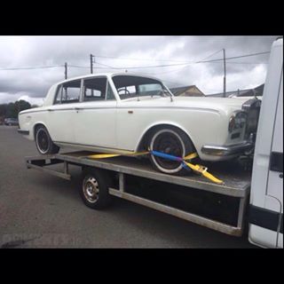 Coaja Louie's avatar