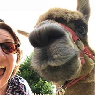 Jill Eaves's avatar