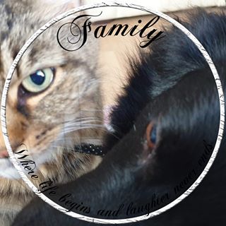 Nicola Jacqueline Shorey's avatar