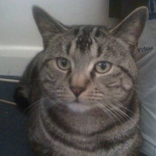 Mary Shirreff's avatar