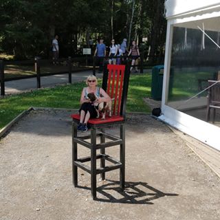 Sheila Fotheringham's avatar