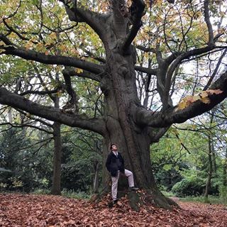 David Henry's avatar