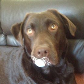 Peter Wolstencroft's avatar