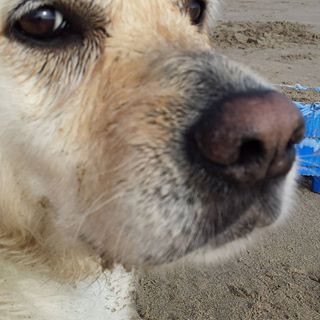 Rich Bryant's avatar