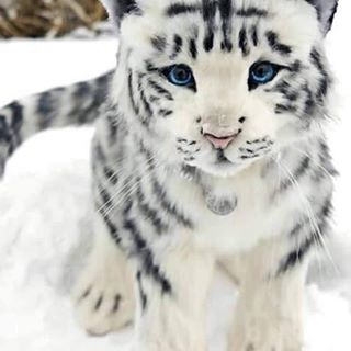 Barbara Tarrant's avatar