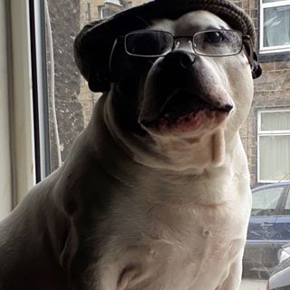 Ricardo T Tones's avatar