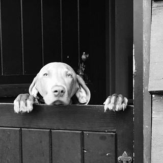 Fran Revill's avatar