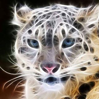 Nicola Newton's avatar