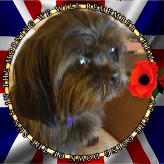 Gail Pritchard's avatar