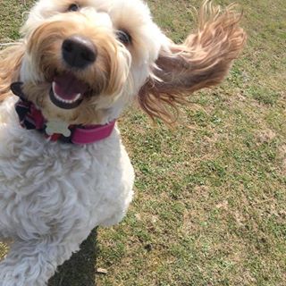 Bruce Ansell's avatar