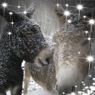 Patrick Homes's avatar