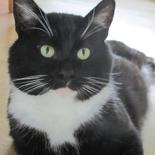 Maree MacKenzie's avatar