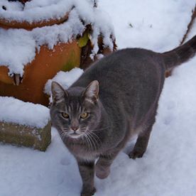 Bill Marlow's avatar