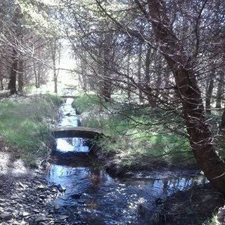 Nick Carmichael's avatar