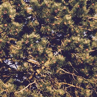 Daisy Chalkley's avatar