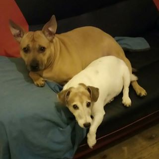 Susan Cornwall's avatar