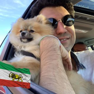 Amir Soleymani's avatar