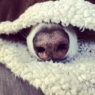 Vicky Hannon's avatar