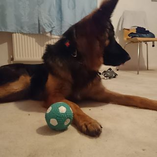 Konrad Wester's avatar