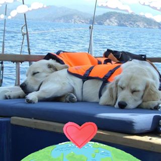 Kerstin Langdon's avatar