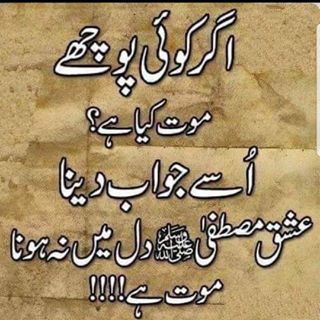 Naseer Ahmed's avatar