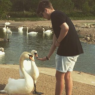 Joe Willmott's avatar