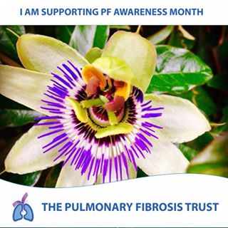 Hayley Winship's avatar