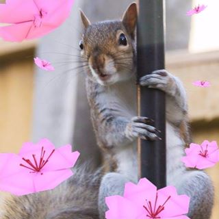 Lynne Harvey's avatar