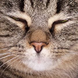 Jane Whitehurst's avatar