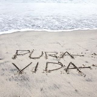 Daniele Baroncelli's avatar