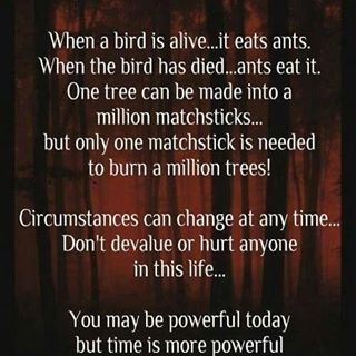 Sachi Seelan's avatar