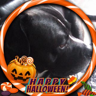 Alex Edwards's avatar