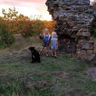 Liam Horsfield's avatar