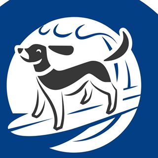 Francis Saint's avatar