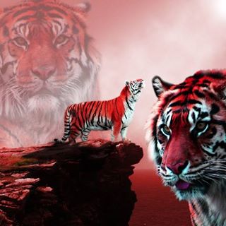 Ray Bennett's avatar